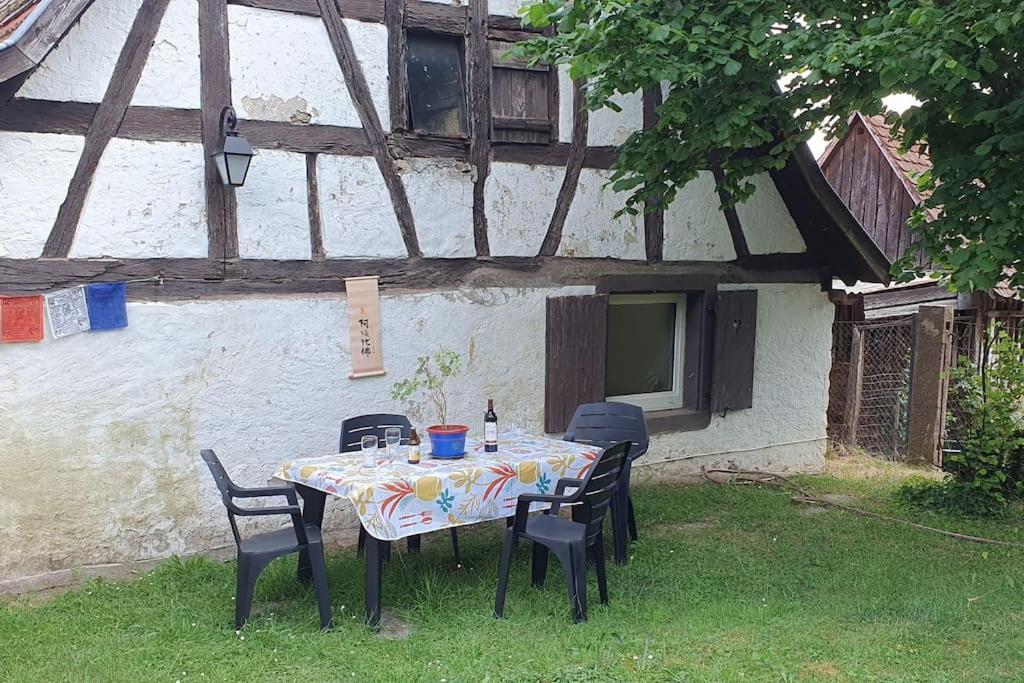 Le Berger Du Salzbach Villa Romanswiller Eksteriør bilde